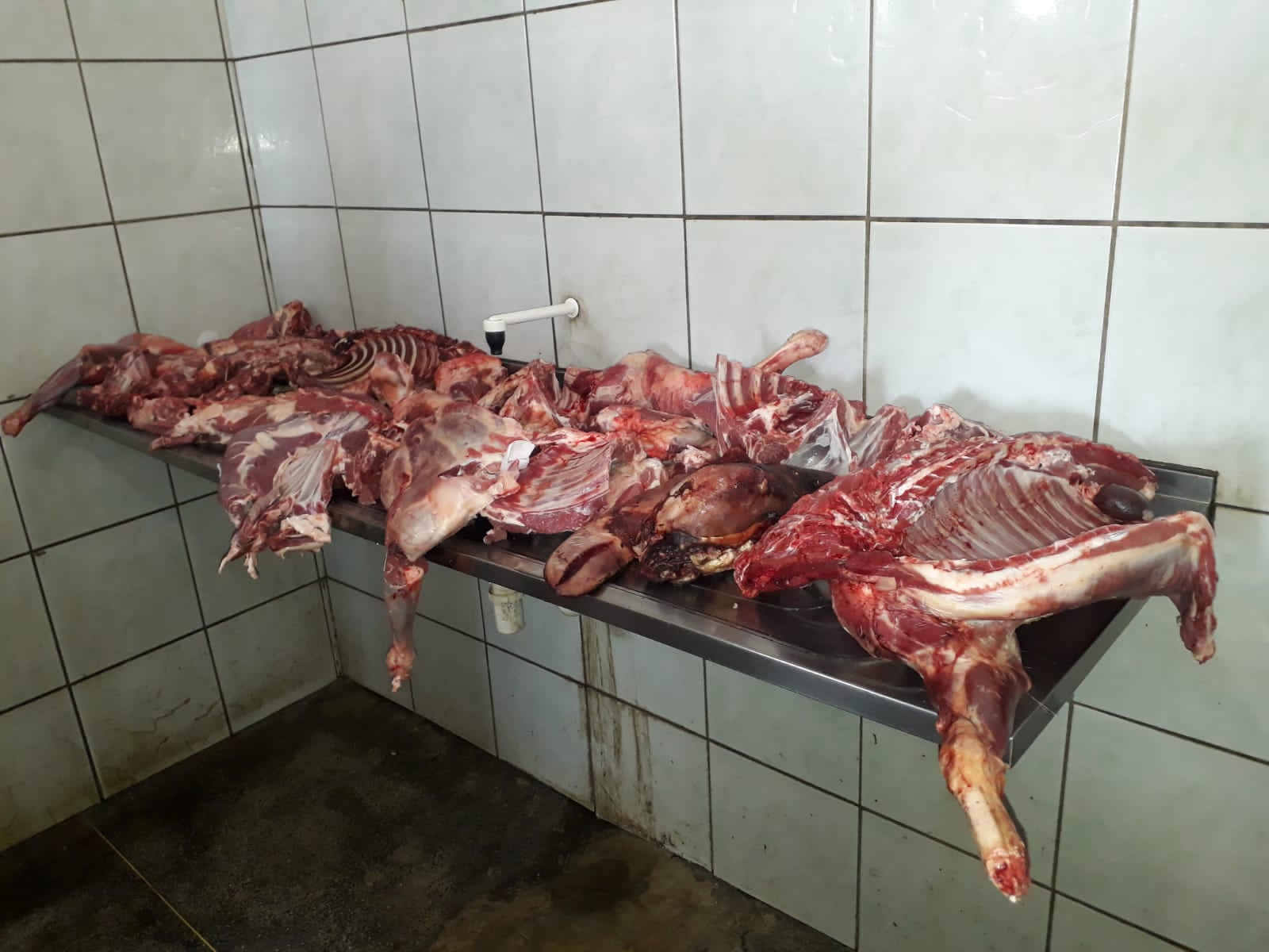 Carne imprópria para consumo foi encontra pela fiscalização em Oeiras